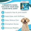 Clear Hip & Joint Health for Dogs