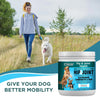 Clear Hip & Joint Health for Dogs