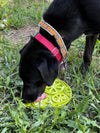 Citrus Design eMat - Enrichment Lick Mat For Dogs and Cats